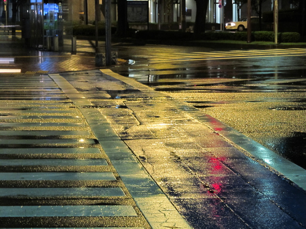 光る路面