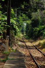 IMGP1432