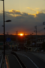 IMGP2526