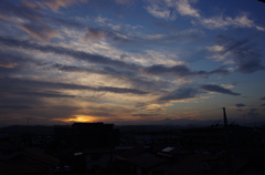 IMGP2619