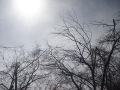 雲の中