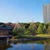 都会のオアシス“白鳥庭園“