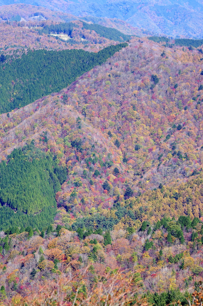 山の色づき