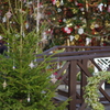 クリスマスツリー
