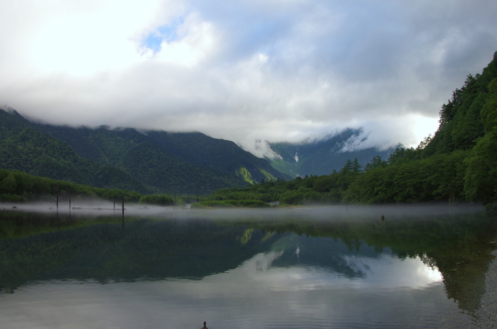 朝もやの大正池