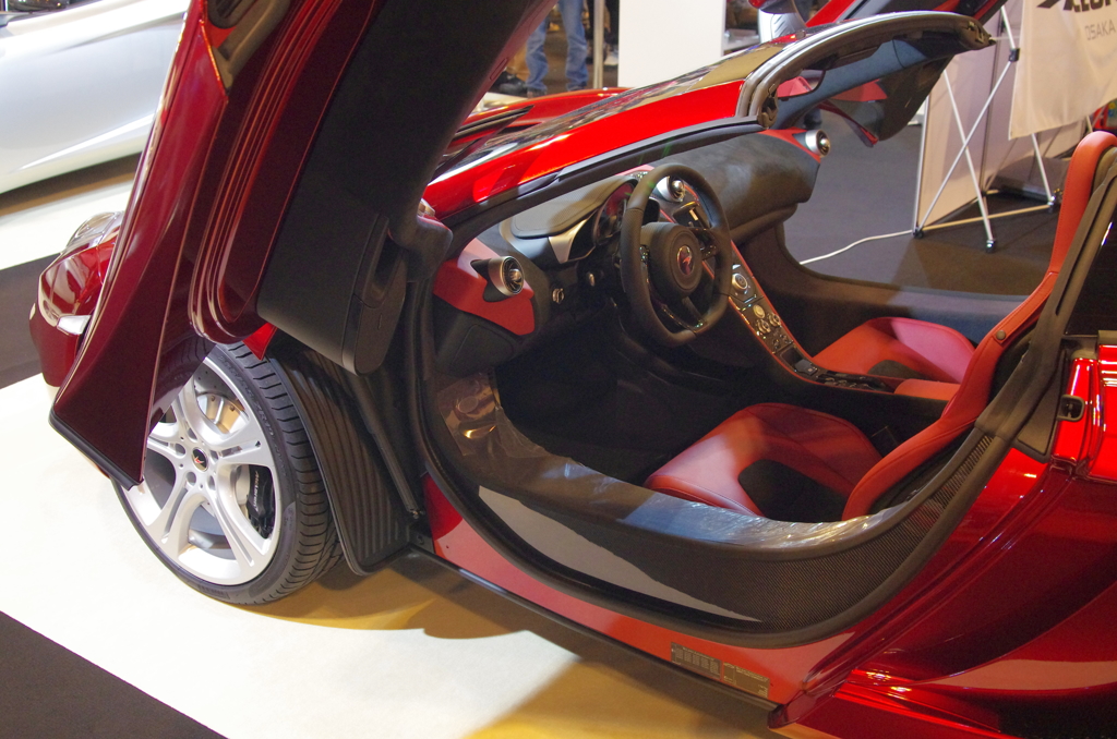 Gull Wing Door