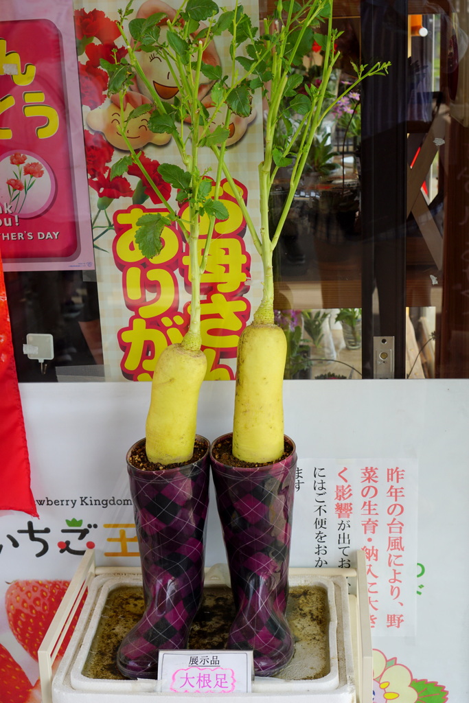 ”大根”　足！！