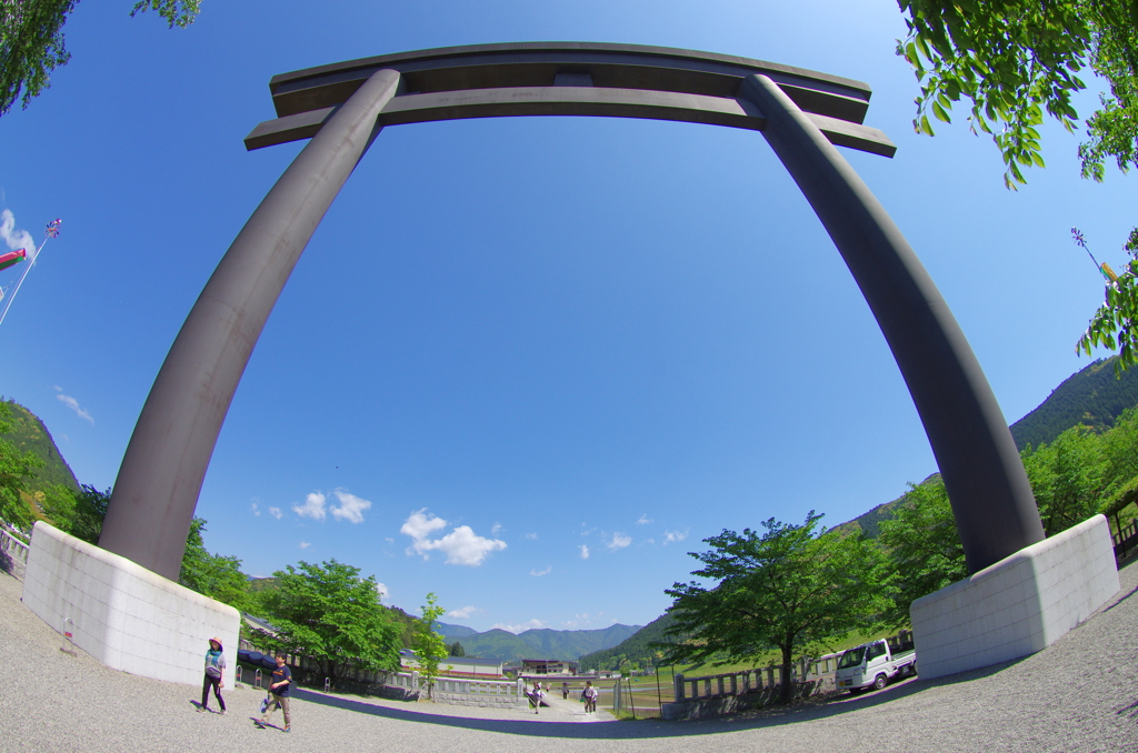 鳥居ど～ん！！