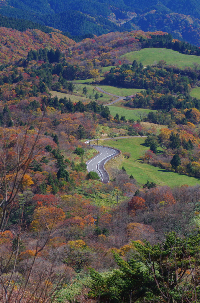 茶臼山高原道路