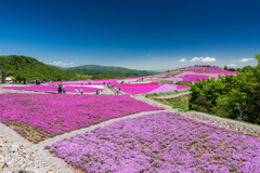 天空の花回廊