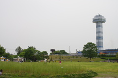 芝生グラウンド