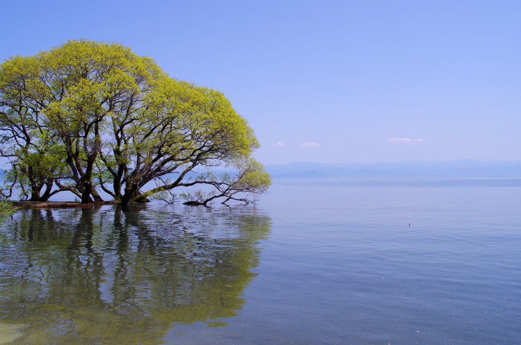 晴天の琵琶湖のほとりにて