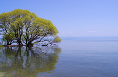 晴天の琵琶湖のほとりにて