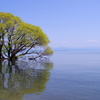 晴天の琵琶湖のほとりにて