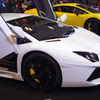 Aventador & Gallardo