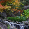 紅葉と小川