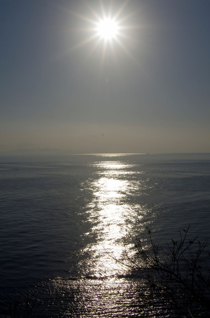 大海へ…