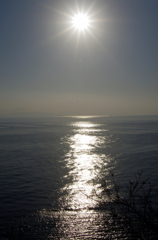 大海へ…