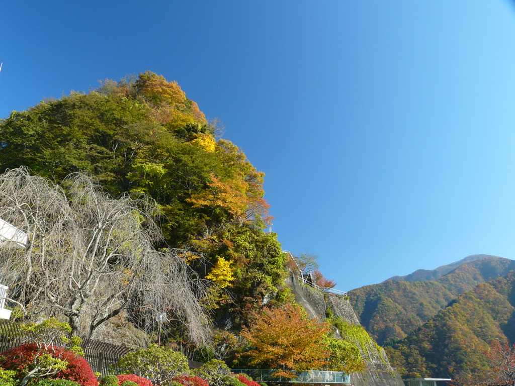 奥多摩の紅葉