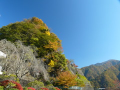奥多摩の紅葉