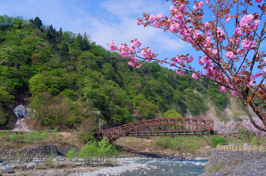 とある田舎の風景