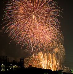 秋の夜空の賑わい