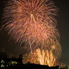 秋の夜空の賑わい