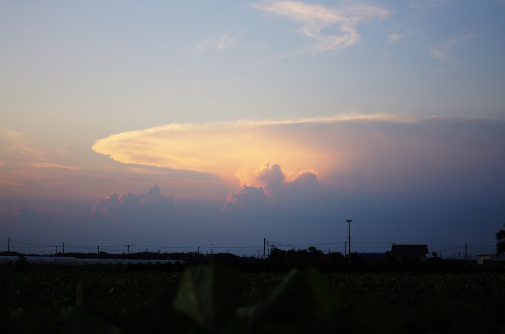 帰り道のくじら雲