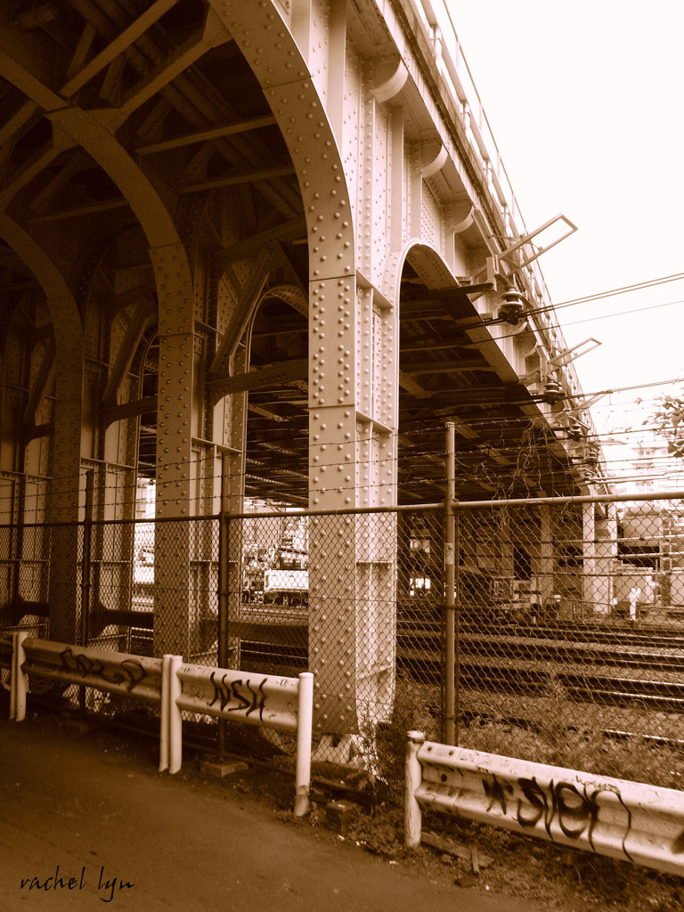 2009_0503_154508-RIMG0006