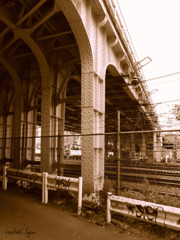 2009_0503_154508-RIMG0006