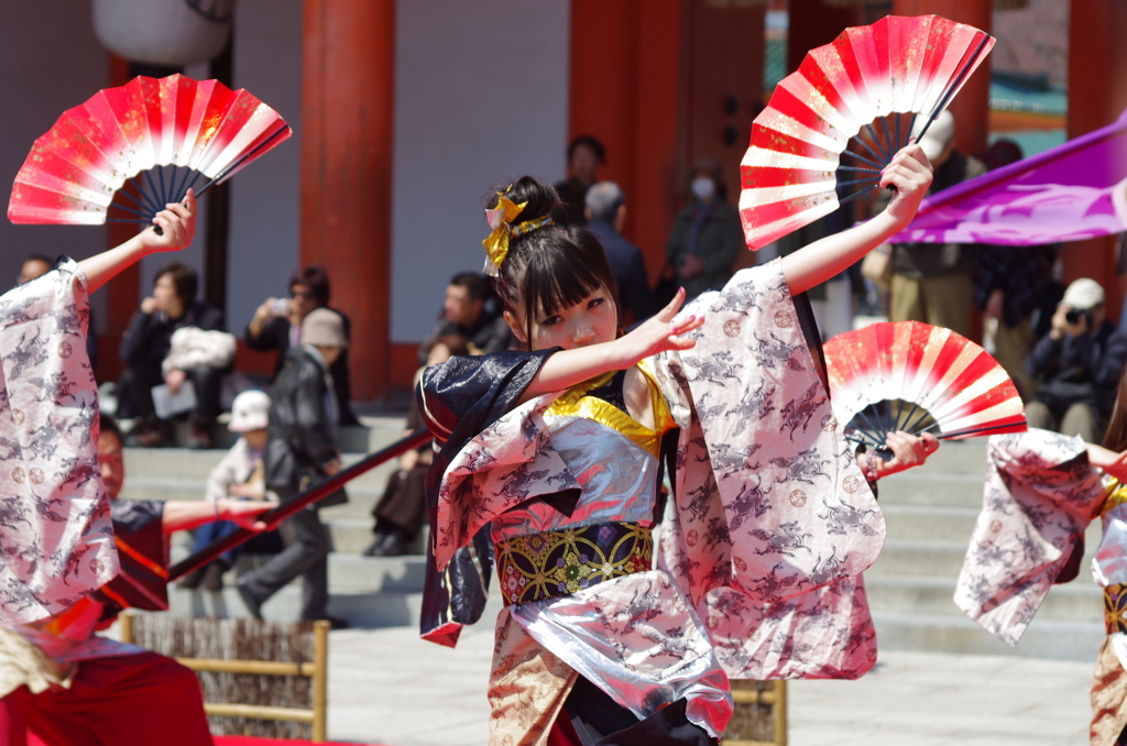 京都さくらよさこい