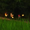 虫送り