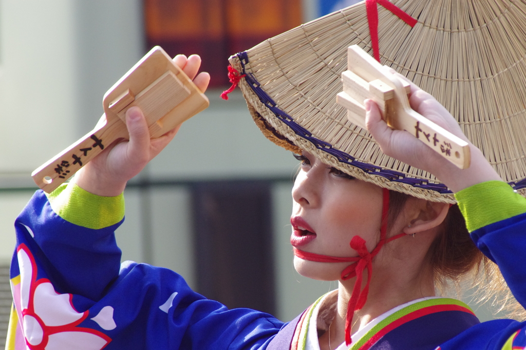 京都さくらよさこい