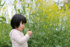 大好きなお花。