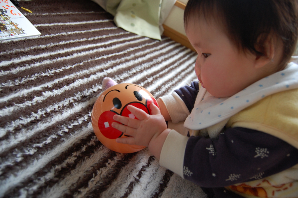本日購入