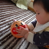 本日購入