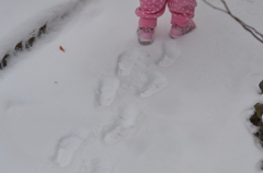 初めての雪を歩く