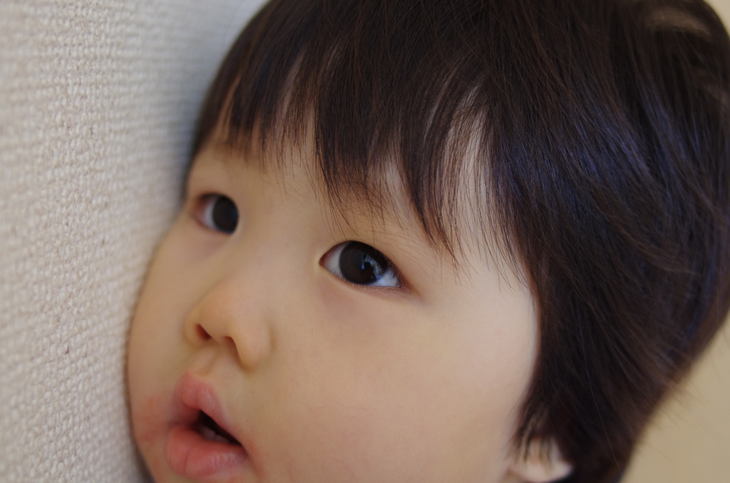 壁落ち着く～