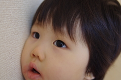 壁落ち着く～
