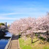 青空と桜と