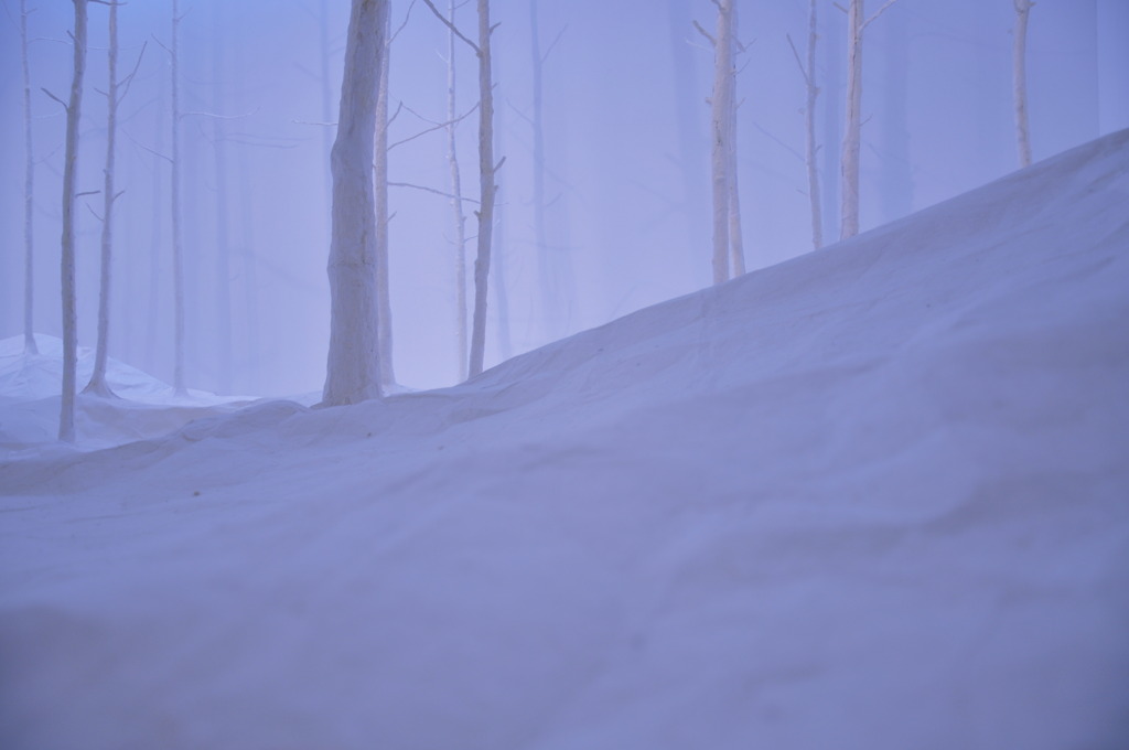CSC_0131