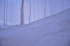 CSC_0131