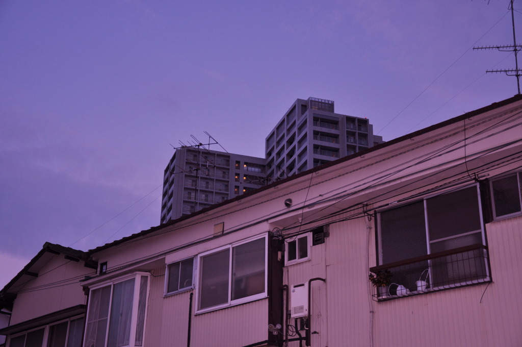 CSC_0779
