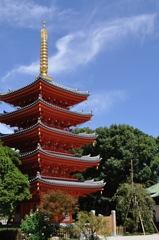 博多の五重塔
