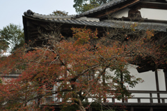 光明禅寺