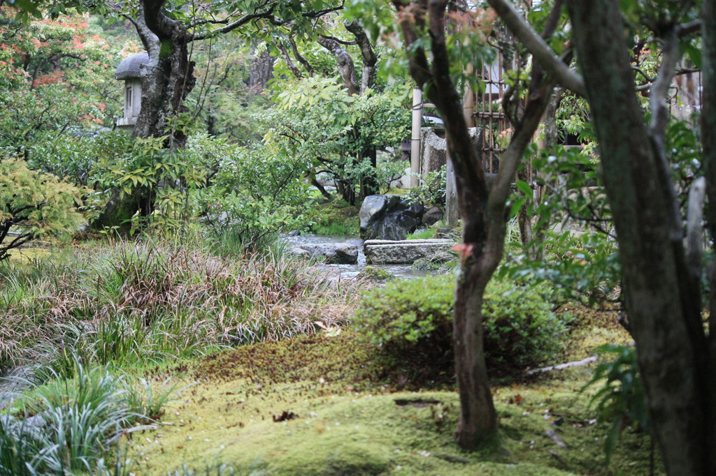 天龍寺内の庭園