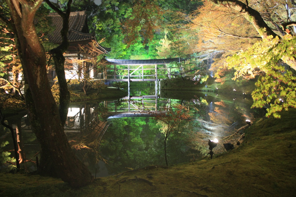 高台寺の鏡池