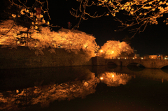夜桜見物7