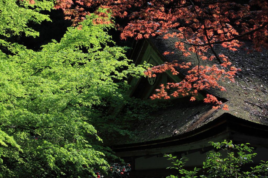 鞍馬寺にて