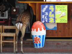 オヤジ、やってるかー